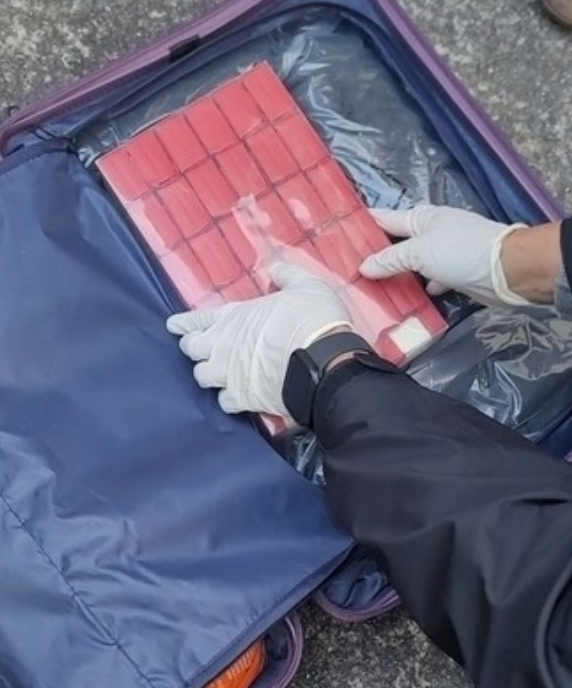 33세 전 프로야구 선수, 마약 조직 총책 혐의 구속