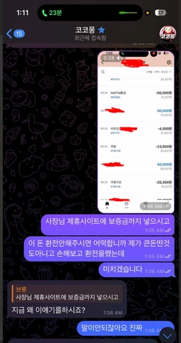 쌩실벳 본전치기 했는데 양방 드립 치고 환전 막음