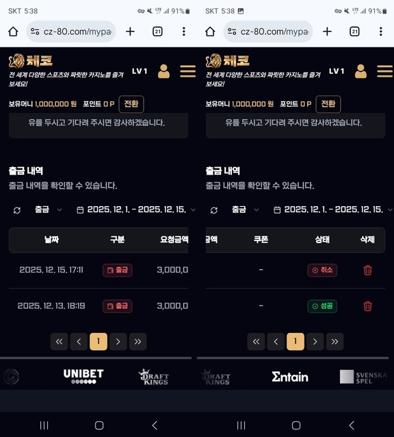 체코 먹튀 100충 348환 원금환 처리 양방드립 치는 구멍가게