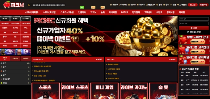 피크닉 문자 홍보 먹튀 첫 환전 누르자 바로 차단